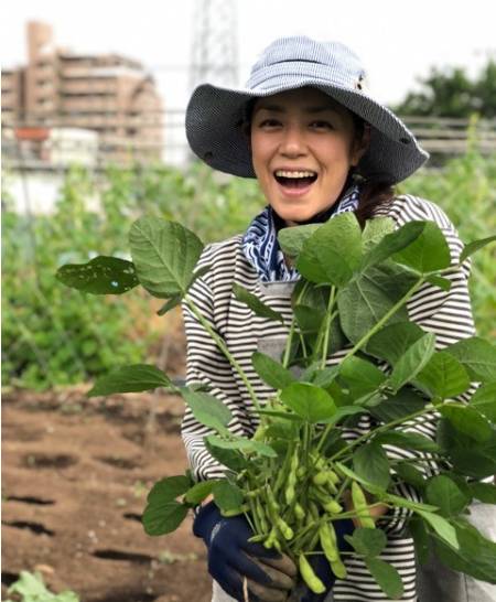 最高の加藤 紀子 かわいい イラスト画像